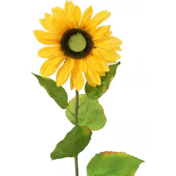 EUROPALMS girasole artificiale, 70 cm 82522097