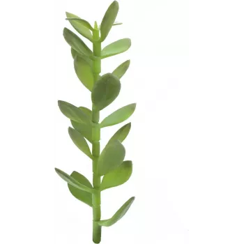 EUROPALMS Pianta artificiale germoglio albero della fortuna, 30 cm 82809010