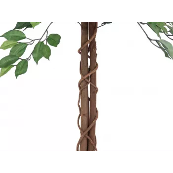 EUROPALMS Ficus Benjamina pianta artificiale a più fusti, 150 cm 82506125