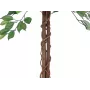 EUROPALMS Ficus Benjamina pianta artificiale a più fusti, 150 cm 82506125