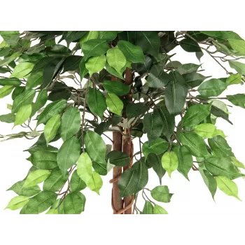 EUROPALMS Ficus Benjamina pianta artificiale a più fusti, 150 cm 82506125