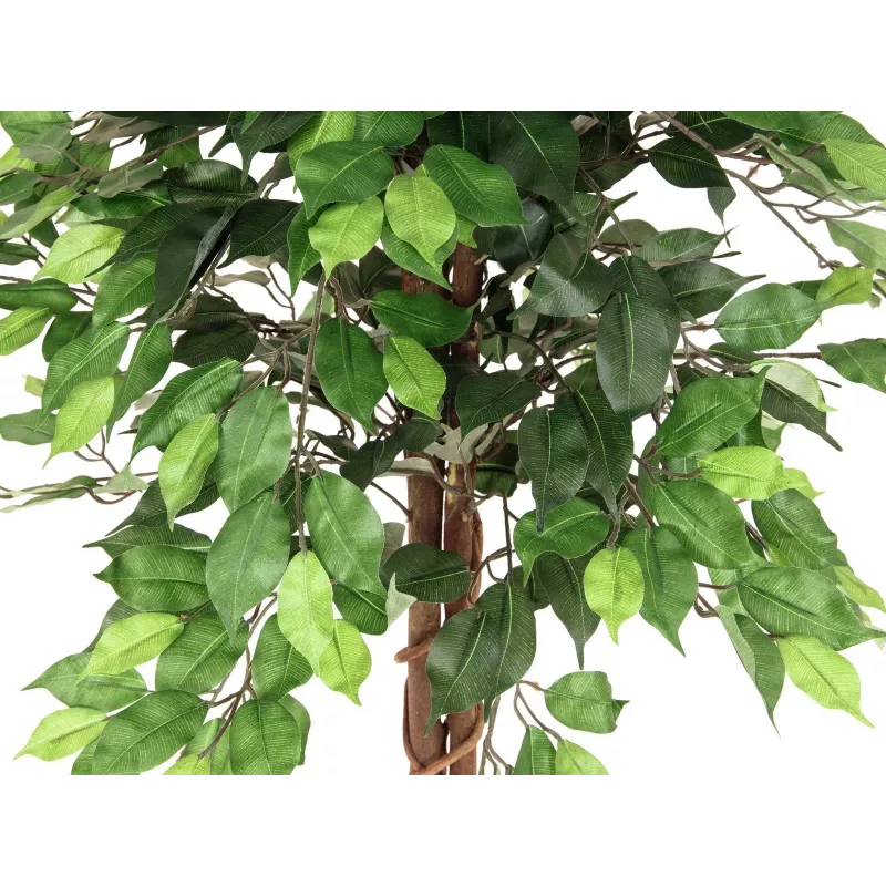 EUROPALMS Ficus Benjamina pianta artificiale a più fusti, 150 cm 82506125