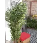 EUROPALMS Bambù pianta artificiale a più fusti, 180 cm 82509236