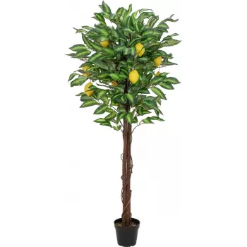 EUROPALMS albero di limone artificiale, 150cm 82507815