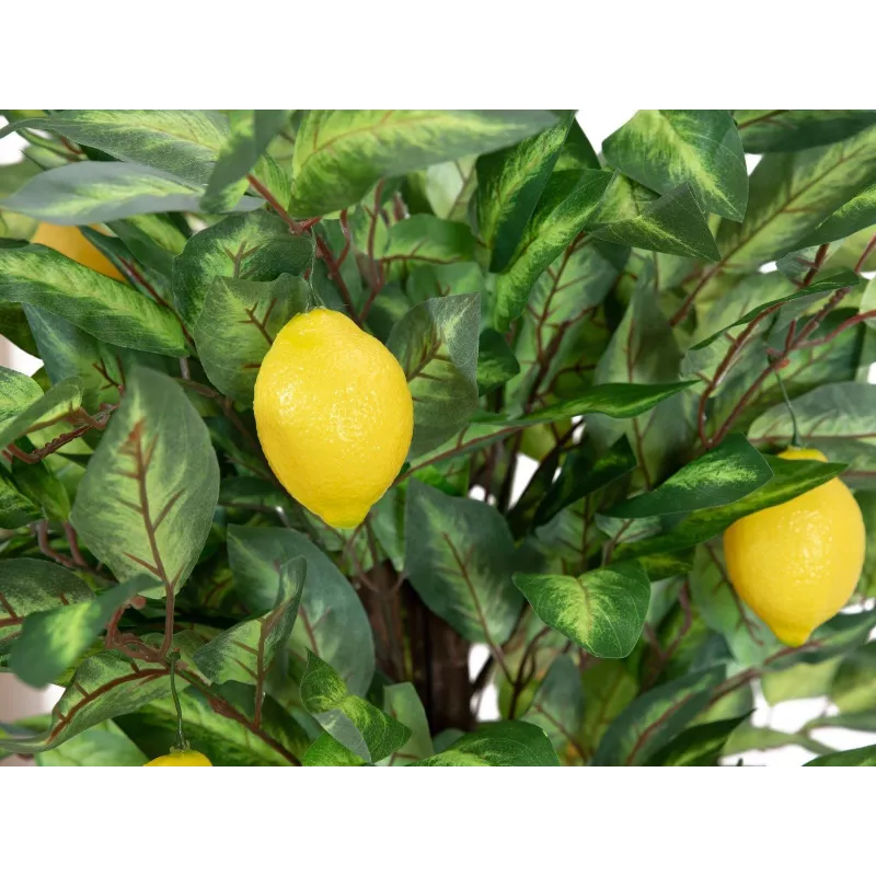 EUROPALMS albero di limone artificiale, 150cm 82507815
