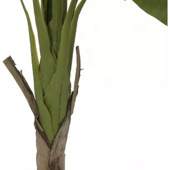 EUROPALMS banano pianta artificiale, 145cm 82509504