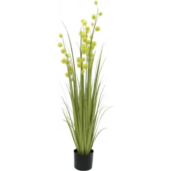 EUROPALMS pianta artificiale Pompom Grass, 122 cm, verde 82500136
