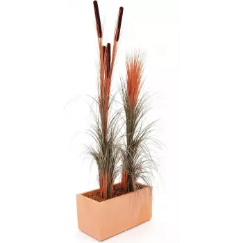 EUROPALMS canna palustre artificiale, marrone chiaro, 127 cm 82505852