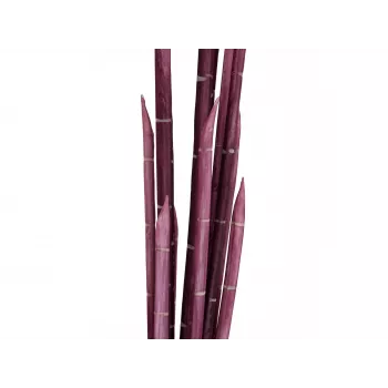EUROPALMS pianta artificiale Magic Onion Grass, rosa, 134 cm 82532003