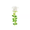EUROPALMS Crystal Rose Fiore artificiale, bianco, 81 cm, 12 pezzi 82600208