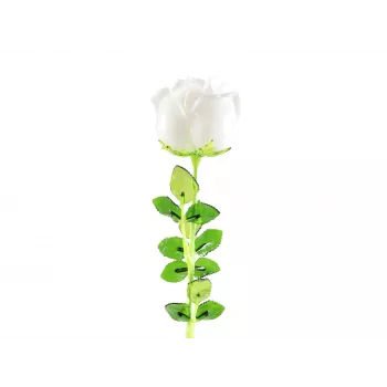 EUROPALMS Crystal Rose Fiore artificiale, bianco, 81 cm, 12 pezzi 82600208