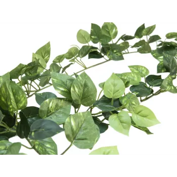 EUROPALMS Pothos Ghirlanda Classic, artificiale, 180 cm 82503728