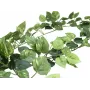 EUROPALMS Pothos Ghirlanda Classic, artificiale, 180 cm 82503728