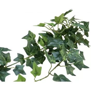 EUROPALMS finta siepe di edera artificiale Classic, 70 cm 82502208