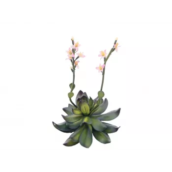 EUROPALMS Stone Rose (EVA) pianta artificiale, rosa, 32 cm 82530572