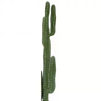 EUROPALMS cactus messicano pianta artificiale, verde, 123 cm 82801072