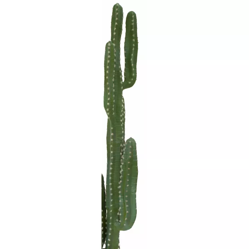 EUROPALMS cactus messicano pianta artificiale, verde, 123 cm 82801072