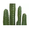 EUROPALMS cactus messicano pianta artificiale, verde, 123 cm 82801072