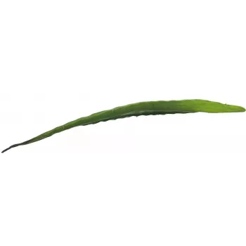 EUROPALMS foglia di aloe artificiale (EVA), verde, 60 cm 82530581