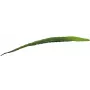 EUROPALMS foglia di aloe artificiale (EVA), verde, 60 cm 82530581