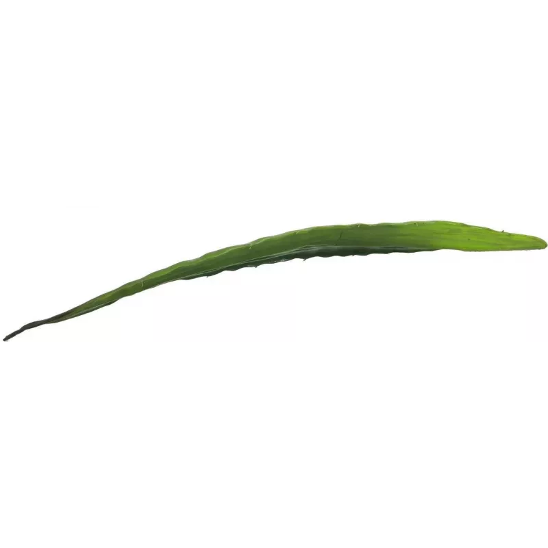 EUROPALMS foglia di aloe artificiale (EVA), verde, 60 cm 82530581