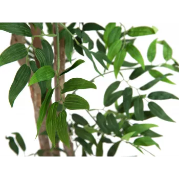 EUROPALMS Ficus Longifolia pianta artificiale, 165 cm 82506350