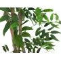 EUROPALMS Ficus Longifolia pianta artificiale, 165 cm 82506350