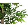 EUROPALMS Ficus Longifolia pianta artificiale, 165 cm 82506350