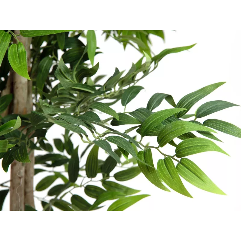 EUROPALMS Ficus Longifolia pianta artificiale, 165 cm 82506350