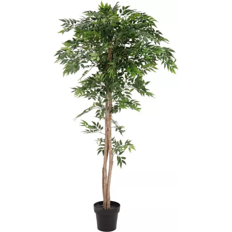EUROPALMS Ficus Longifolia pianta artificiale, 165 cm 82506350