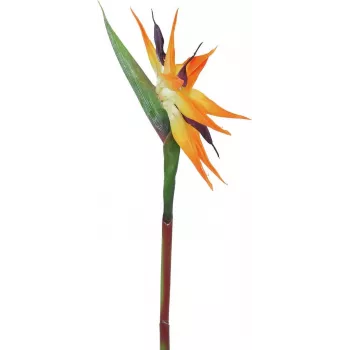 EUROPALMS uccello del paradiso artificiale, arancione, 95 cm 82530559