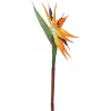 EUROPALMS uccello del paradiso artificiale, arancione, 95 cm 82530559