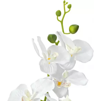 EUROPALMS orchidea pianta artificiale, bianca, 80 cm (82530362)