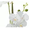 EUROPALMS orchidea pianta artificiale, bianca, 80 cm (82530362)