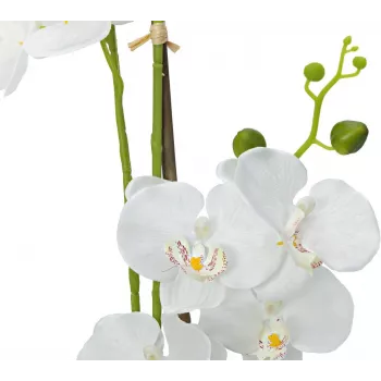 EUROPALMS orchidea pianta artificiale, bianca, 80 cm (82530362)