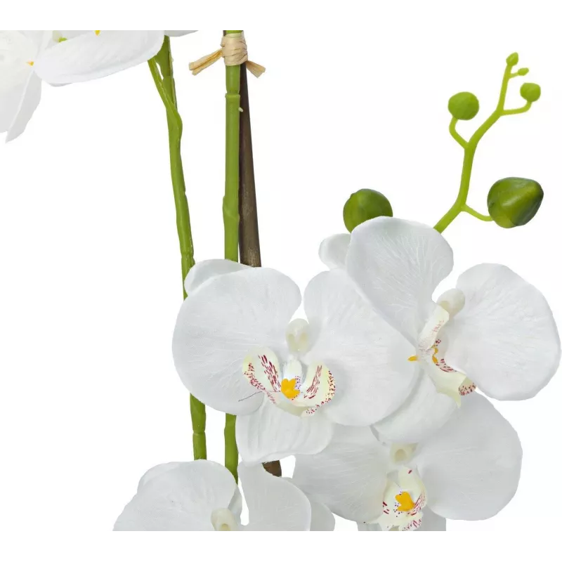 EUROPALMS orchidea pianta artificiale, bianca, 80 cm (82530362)