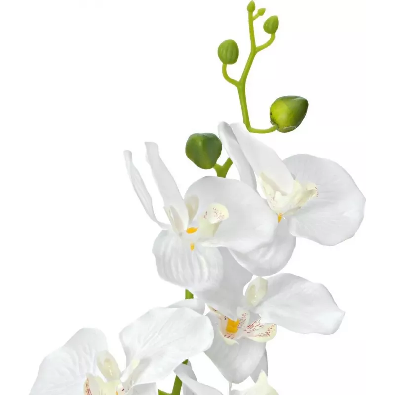 EUROPALMS orchidea pianta artificiale, bianca, 80 cm (82530362)