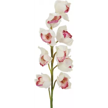EUROPALMS ramo di Cymbidium, artificiale, bianco-rosa, 90 cm 82530312