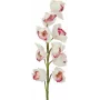 EUROPALMS ramo di Cymbidium, artificiale, bianco-rosa, 90 cm 82530312