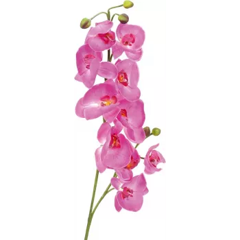 EUROPALMS ramo di orchidea artificiale, lilla, 100 cm 82530322
