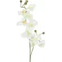EUROPALMS ramo di orchidea artificiale, crema-bianco, 100 cm (82530323)