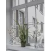 EUROPALMS ramo di orchidea artificiale, crema-bianco, 100 cm (82530323)