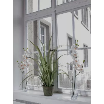 EUROPALMS ramo di orchidea artificiale, crema-bianco, 100 cm (82530323)