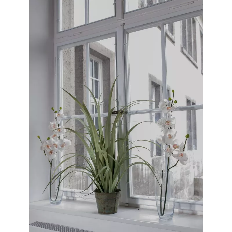 EUROPALMS ramo di orchidea artificiale, crema-bianco, 100 cm (82530323)