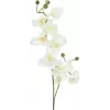 EUROPALMS ramo di orchidea artificiale, crema-bianco, 100 cm (82530323)