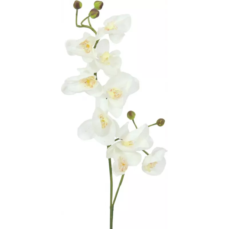 EUROPALMS ramo di orchidea artificiale, crema-bianco, 100 cm (82530323)