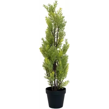 EUROPALMS Cipresso di Leyland pianta artificiale, 60 cm 82606959