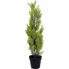 EUROPALMS Cipresso di Leyland pianta artificiale, 60 cm 82606959
