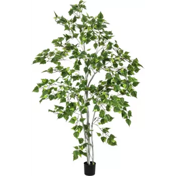 EUROPALMS Betulla pianta artificiale 180 cm 82505231