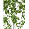 EUROPALMS Betulla pianta artificiale 180 cm 82505231